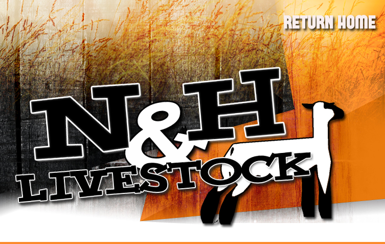 N&H Livestock