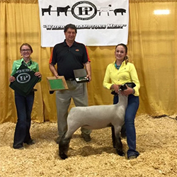 N&H Livestock | Winners